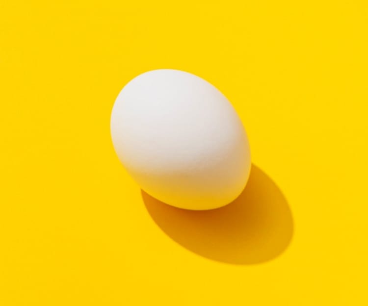 Picture of an egg against a yellow background.